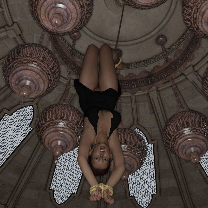 hanging-upside-down-rotica-only.jpg