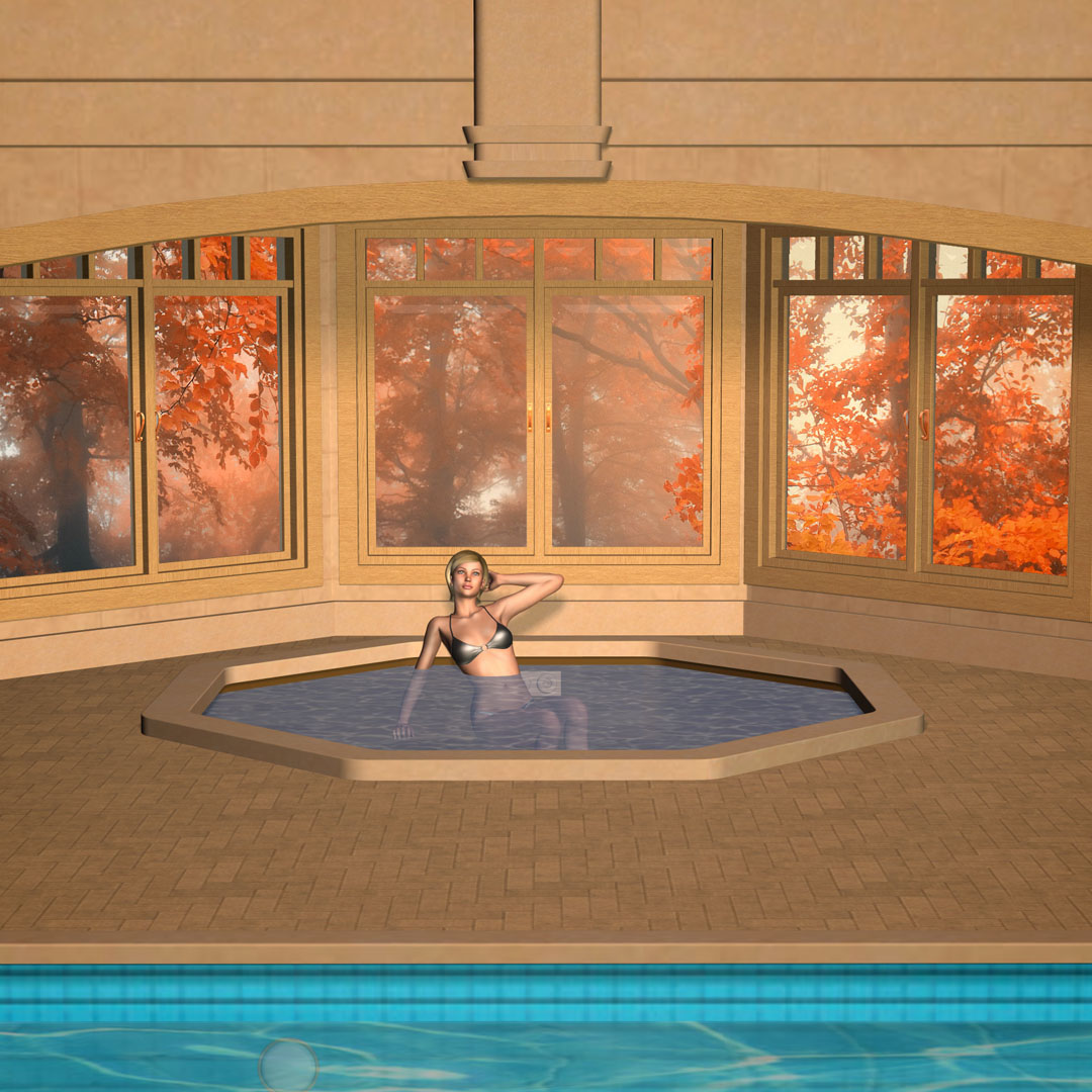 richabri_New_Indoor_Pool_Pic3.jpg